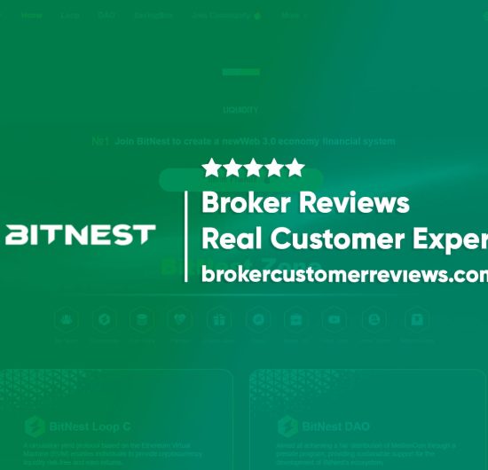 BitNest Review