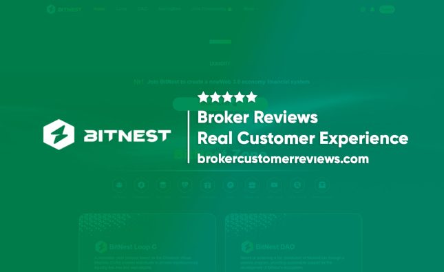 BitNest Review