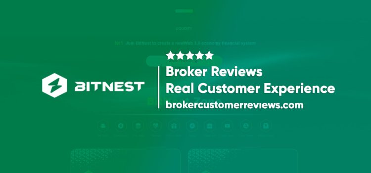 BitNest Review