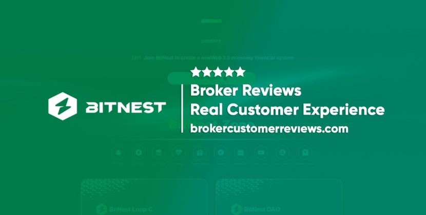 BitNest Review